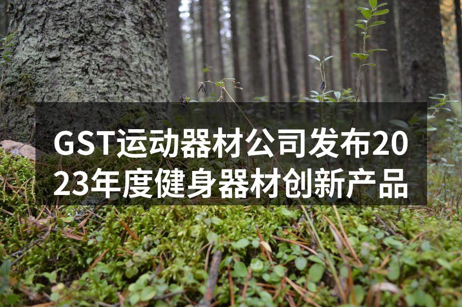 GST公司新产品展示会现场