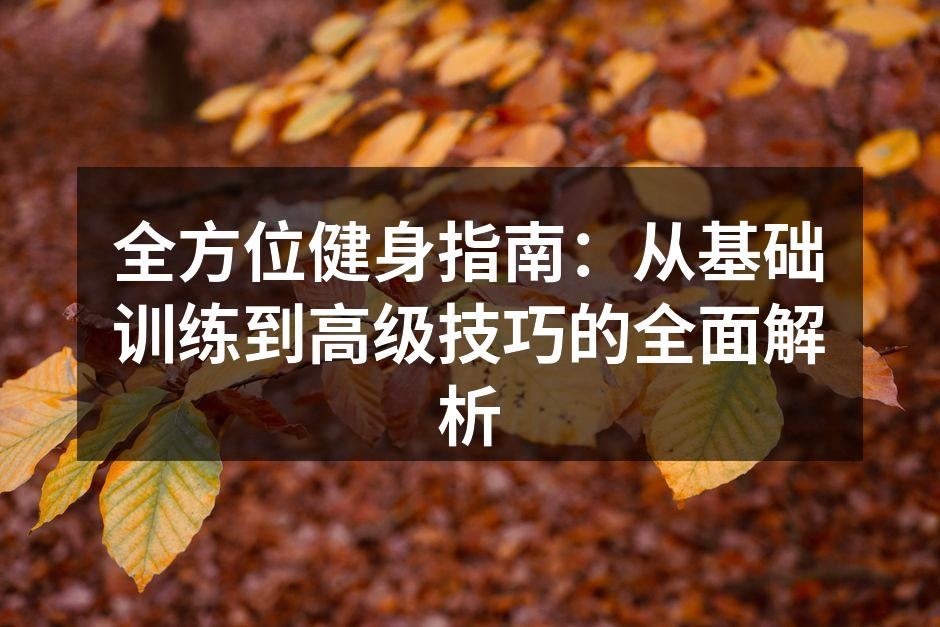 科学的训练计划带来更高效的锻炼效果