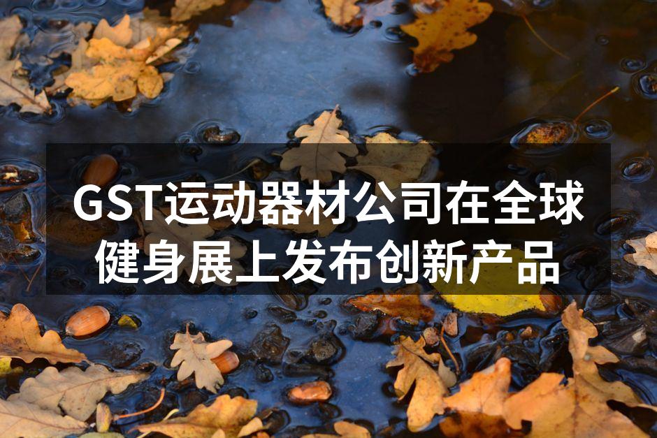 GST展位吸引众多参观者